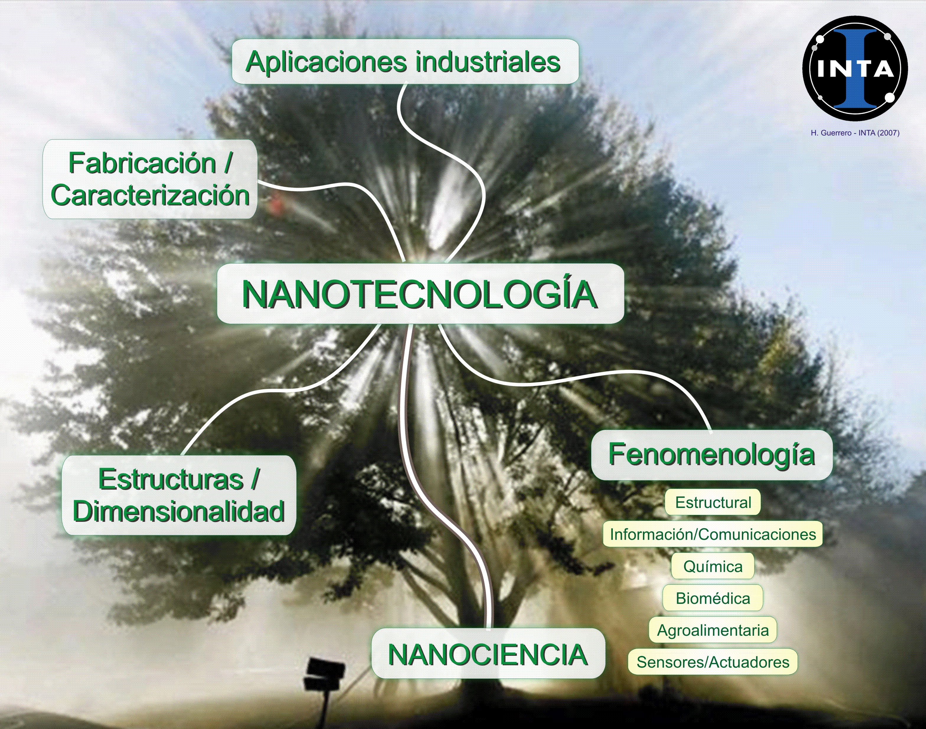 El arbol del conocimiento de la Nanotecnología