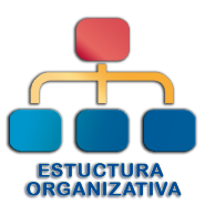 Estructura Organizativa